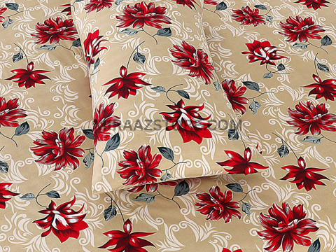 3PC Cotton Bedsheet BS-65