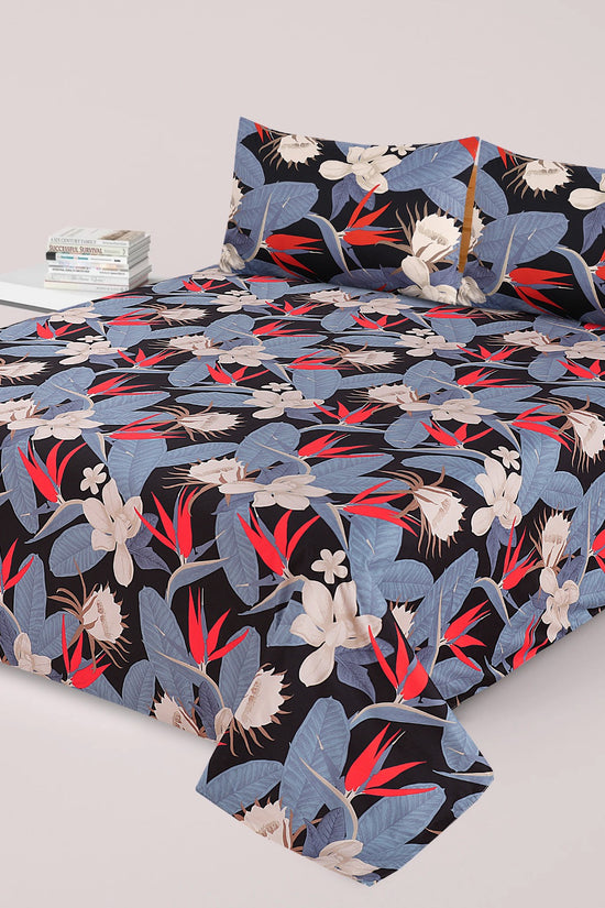 Premium Cotton Super King Bedsheet - Special Addition- MS11